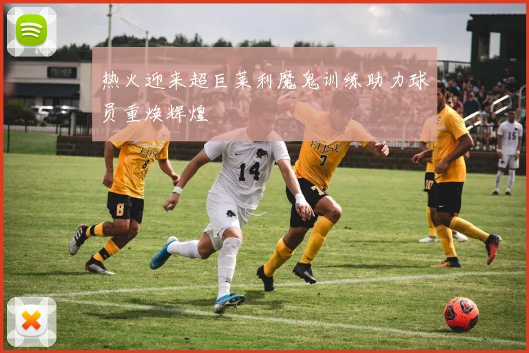 热火迎来超巨莱利魔鬼训练助力球员重焕辉煌
